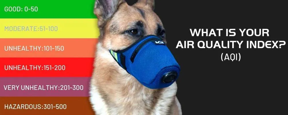 air quality index for dog